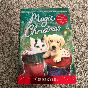 Magic Christmas kids book